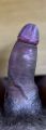 softsole2025 